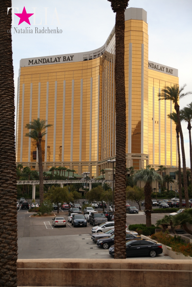 Главная улица Лас Вегаса - Стрип, с самыми дорогимы отелями в мире